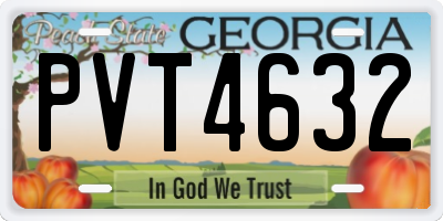 GA license plate PVT4632