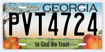 GA license plate PVT4724