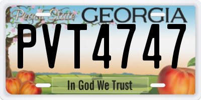 GA license plate PVT4747