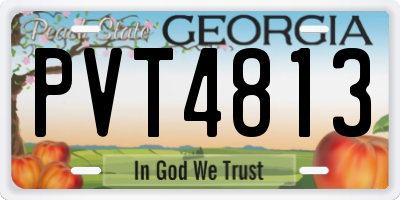 GA license plate PVT4813