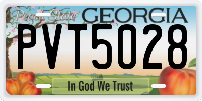 GA license plate PVT5028