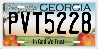 GA license plate PVT5228