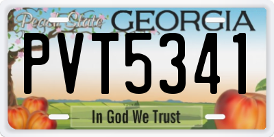 GA license plate PVT5341