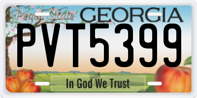 GA license plate PVT5399
