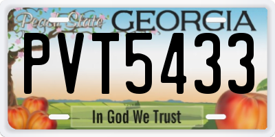 GA license plate PVT5433