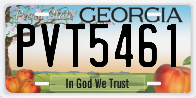 GA license plate PVT5461