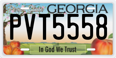 GA license plate PVT5558