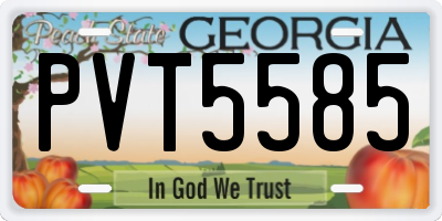 GA license plate PVT5585