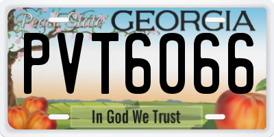 GA license plate PVT6066