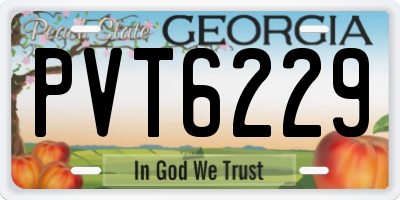 GA license plate PVT6229