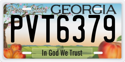 GA license plate PVT6379