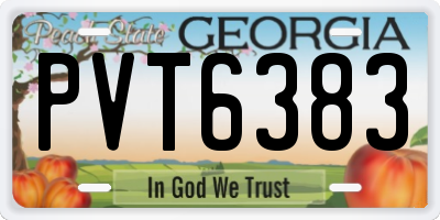 GA license plate PVT6383