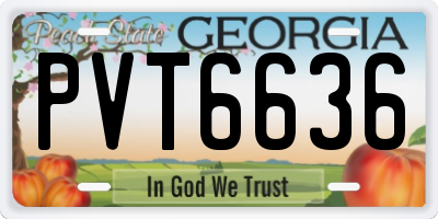 GA license plate PVT6636