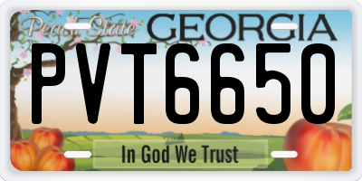 GA license plate PVT6650