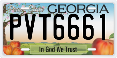 GA license plate PVT6661