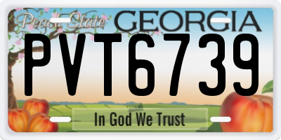 GA license plate PVT6739