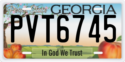 GA license plate PVT6745