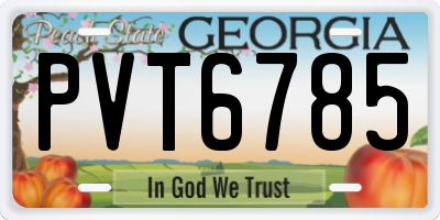 GA license plate PVT6785