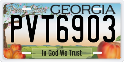 GA license plate PVT6903