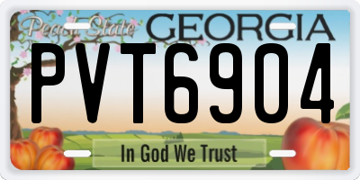 GA license plate PVT6904