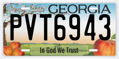 GA license plate PVT6943