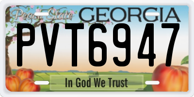 GA license plate PVT6947