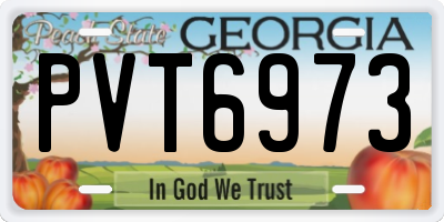 GA license plate PVT6973