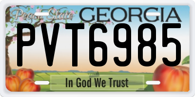 GA license plate PVT6985