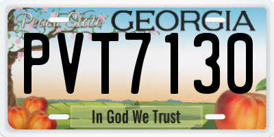 GA license plate PVT7130