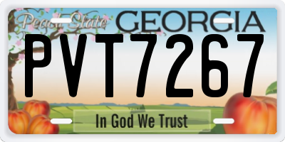 GA license plate PVT7267