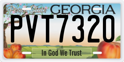 GA license plate PVT7320