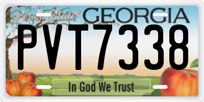 GA license plate PVT7338