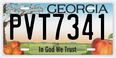 GA license plate PVT7341