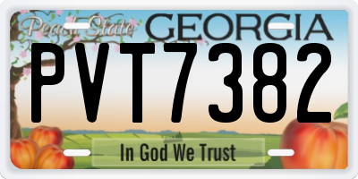 GA license plate PVT7382
