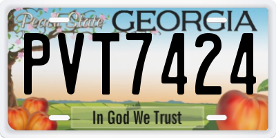 GA license plate PVT7424