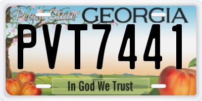 GA license plate PVT7441