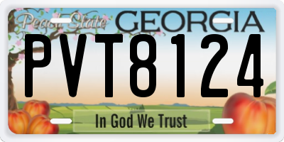 GA license plate PVT8124
