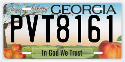 GA license plate PVT8161
