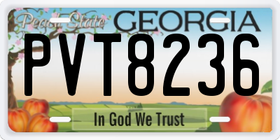 GA license plate PVT8236