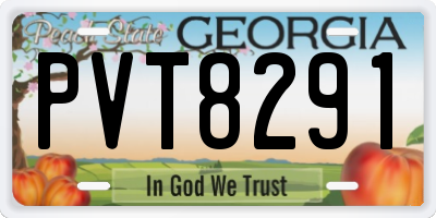 GA license plate PVT8291