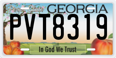 GA license plate PVT8319