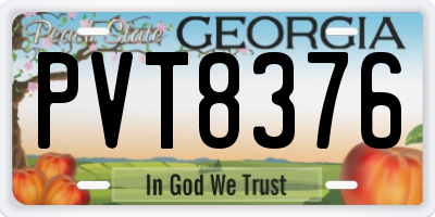 GA license plate PVT8376