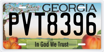 GA license plate PVT8396