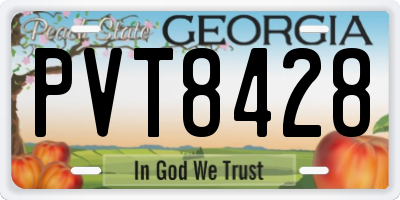 GA license plate PVT8428
