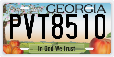 GA license plate PVT8510