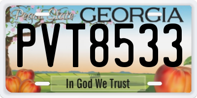 GA license plate PVT8533