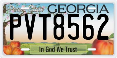 GA license plate PVT8562