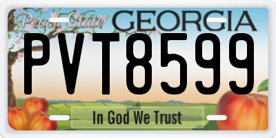 GA license plate PVT8599