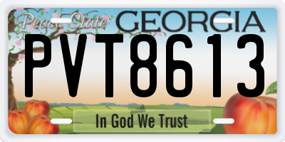 GA license plate PVT8613