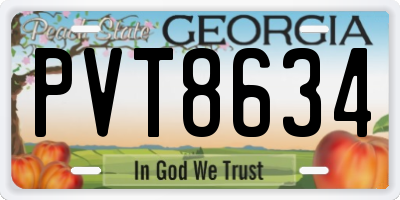 GA license plate PVT8634